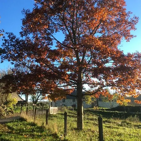 Le Buron Du Mas Hébergement de vacances Marchastel (Cantal)