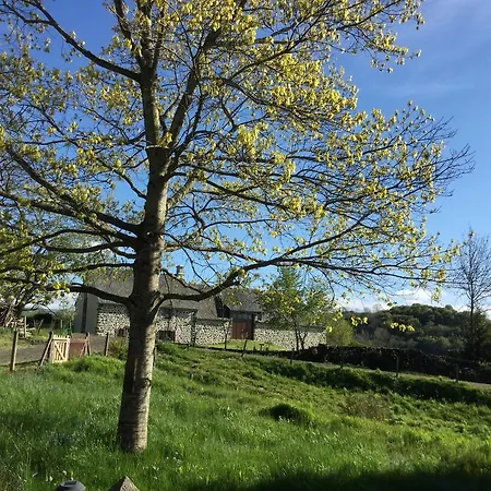 Le Buron Du Mas *